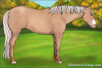 Horse Color:Silver Amber Champagne Frame 