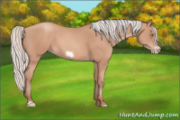 Horse Color:Silver Amber Champagne Frame 