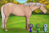 Horse Color:Silver Amber Champagne Frame 