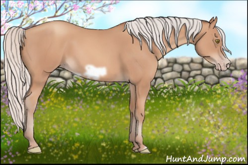 Horse Color: Silver Amber Champagne Frame 