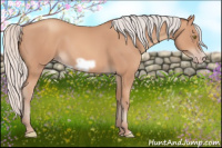 Horse Color:Silver Amber Champagne Frame 
