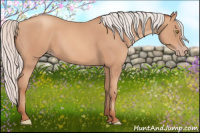 Horse Color:Silver Amber Champagne Frame 