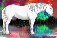 Horse Color:Perlino Appaloosa 