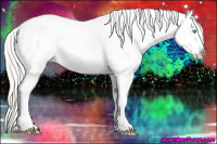 Horse Color:Cremello Appaloosa