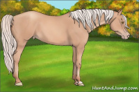 Horse Color:Silver Amber Champagne Frame 
