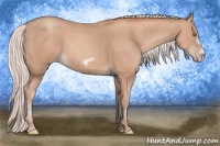 Horse Color:Silver Amber Champagne Frame 