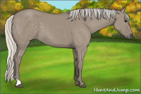 Horse Color:Silver Smoky Grullo 