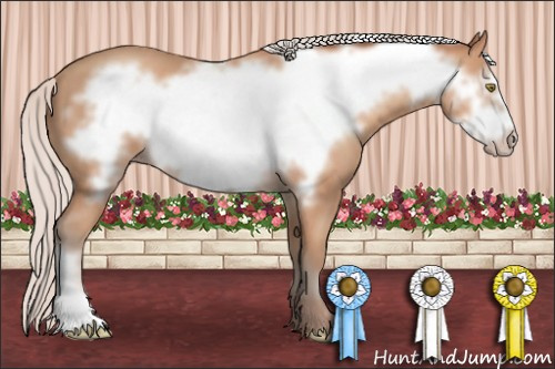 Horse Color: Silver Amber Champagne Frame 