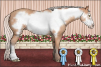 Horse Color:Silver Amber Champagne Frame 