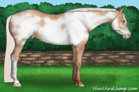 Horse Color:Silver Amber Champagne Frame 