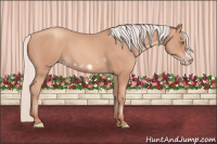 Horse Color:Silver Amber Champagne Frame 