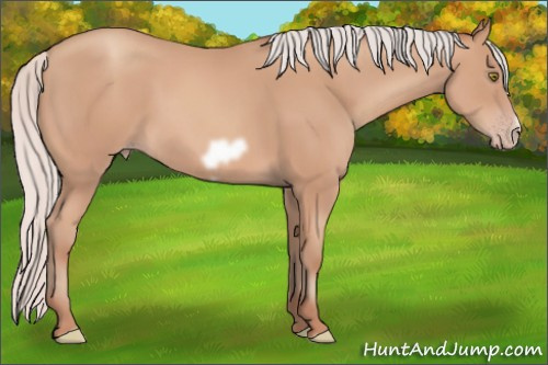 Horse Color: Silver Sable Champagne Frame 