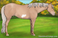 Horse Color:Silver Sable Champagne Frame 