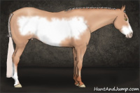 Horse Color:Silver Amber Champagne Frame