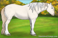 Horse Color:Perlino Dun Tobiano 