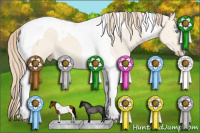 Horse Color:Perlino Dun Tobiano 