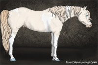 Horse Color:Perlino Dun Tobiano 