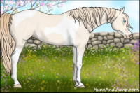 Horse Color:Perlino Dun Tobiano