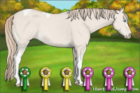 Horse Color:Smoky Creme Dun Tobiano 