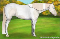 Horse Color:Smoky Creme Dun Tobiano