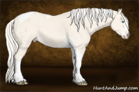 Horse Color:Cremello Dun Tobiano 
