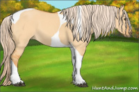 Horse Color:Palomino Dun Tobiano