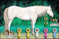 Horse Color:Perlino Dun Tobiano 