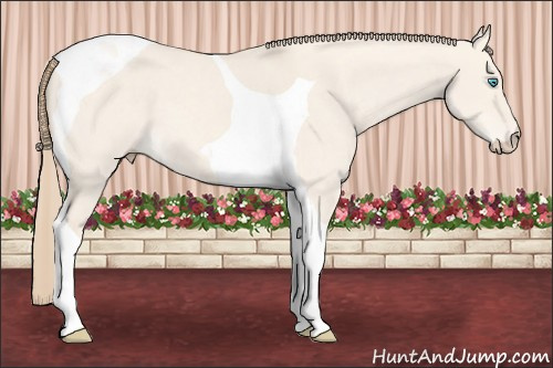 Horse Color: Perlino Dun Tobiano 