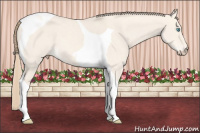 Horse Color:Perlino Dun Tobiano 