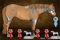 Horse Color:White Spotted Blue Roan Rabicano  Brindle