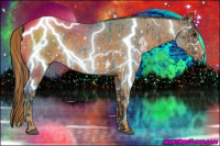 Horse Color:White Spotted Blue Roan Rabicano  Brindle