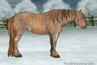 Horse Color:White Spotted Blue Roan Rabicano  Brindle