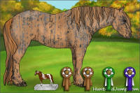 Horse Color:Blue Roan Sabino Rabicano  Brindle