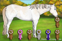 Horse Color:White Spotted Perlino Dun 