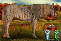 Horse Color:White Spotted Blue Roan Rabicano  Brindle