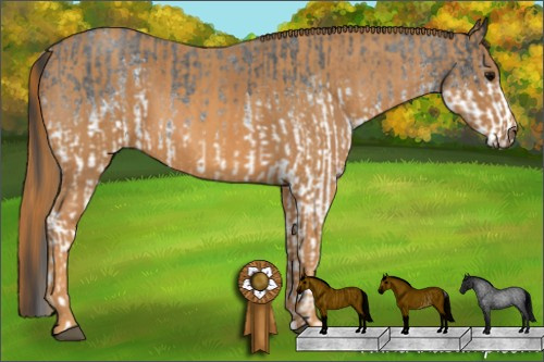 Horse Color: White Spotted Blue Roan Rabicano  Brindle