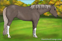 Horse Color:Silver Black 