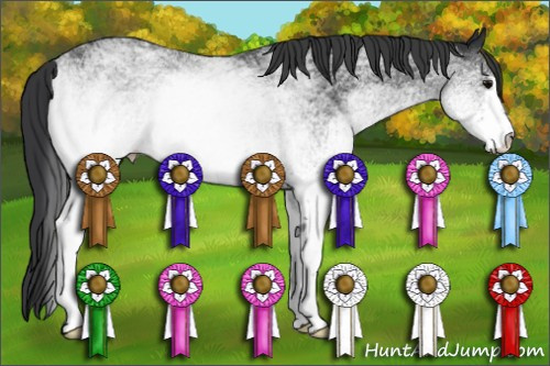 Horse Color: White Spotted Black 
