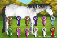 Horse Color:White Spotted Black