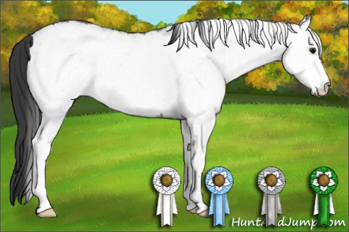 Horse Color: White Spotted Grullo 