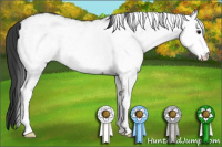 Horse Color:White Spotted Grullo 