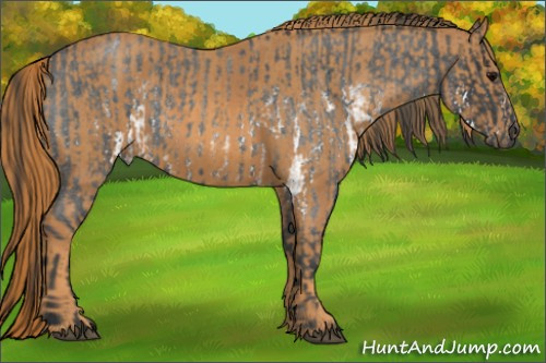 Horse Color: White Spotted Blue Roan Rabicano  Brindle