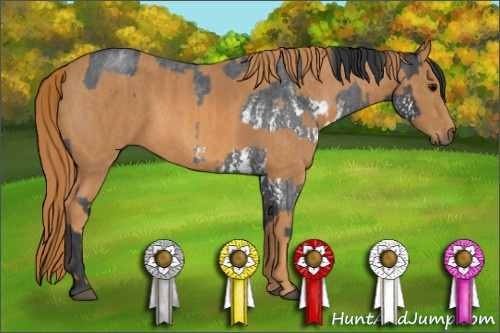 Horse Color: White Spotted Blue Roan Rabicano  Brindle