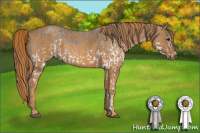 Horse Color:White Spotted Blue Roan Rabicano  Brindle