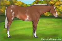 Horse Color:White Spotted Silver Bay Splash 