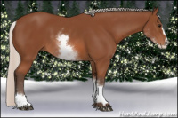 Horse Color:White Spotted Silver Bay Splash 
