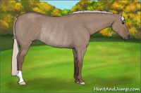 Horse Color:Silver Grullo Roan Rabicano