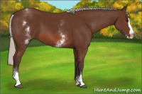 Horse Color:White Spotted Silver Brown Splash 