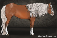 Horse Color:White Spotted Silver Bay Splash 