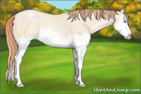 Horse Color:Classic Cream Champagne Pearl Splash 